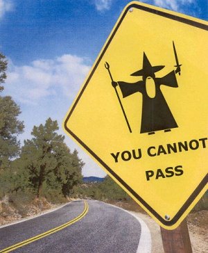 gandalfyoushallnotpass.jpg